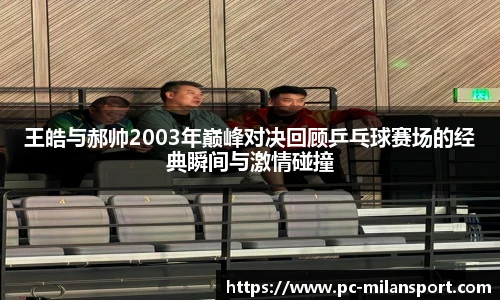 王皓与郝帅2003年巅峰对决回顾乒乓球赛场的经典瞬间与激情碰撞